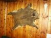 ornitolog044